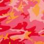 Andy Warhol: Camouflage (F. & S. II.408) - Signed Print