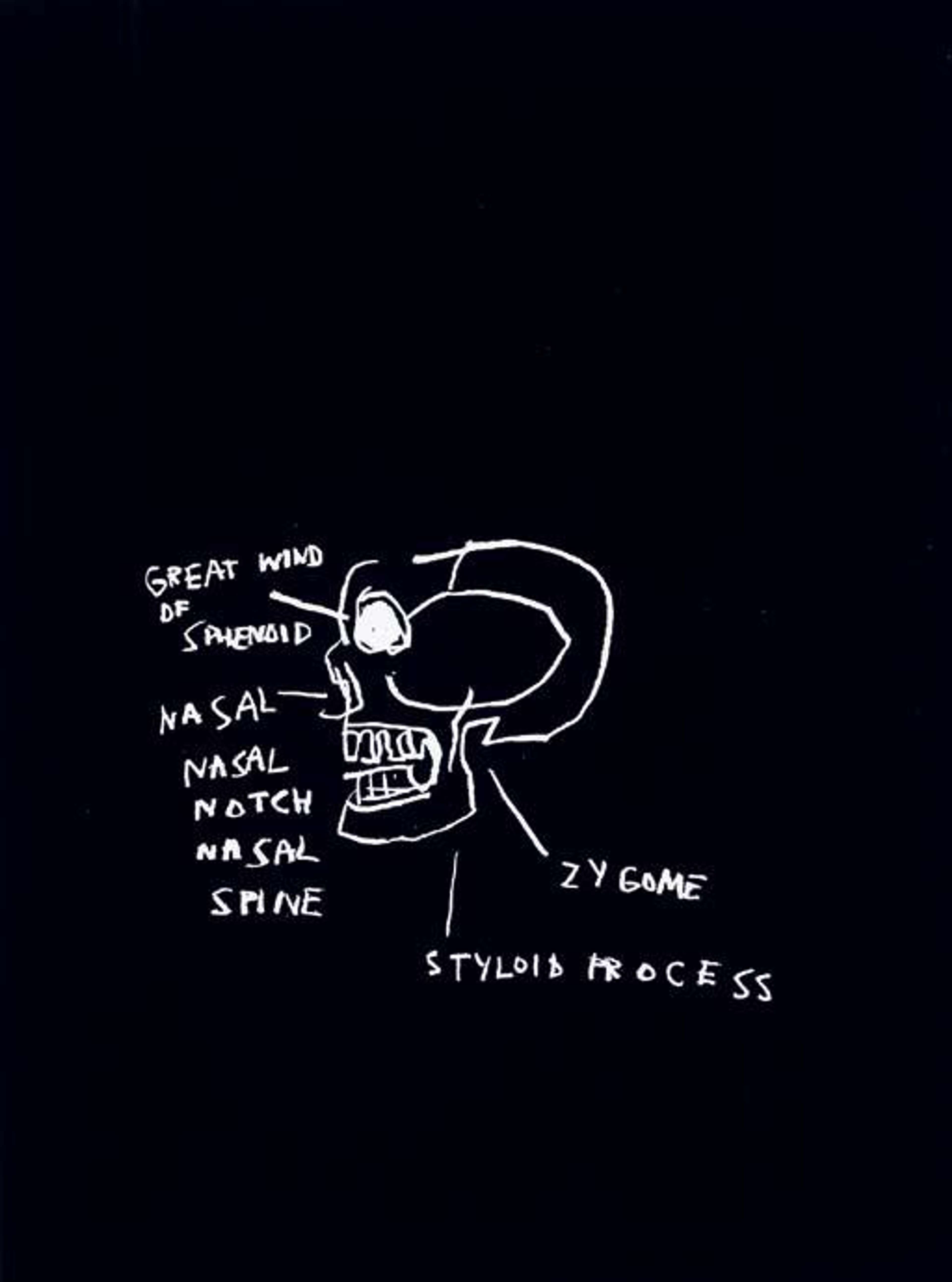 Jean-Michel Basquiat’s Anatomy, Great Wind Of Sphenoid. A black screenprint featuring white anatomical drawings of a human skull and sinuses with descriptive labels.