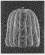 Yayoi Kusama: Pumpkin (white T) - Signed Print