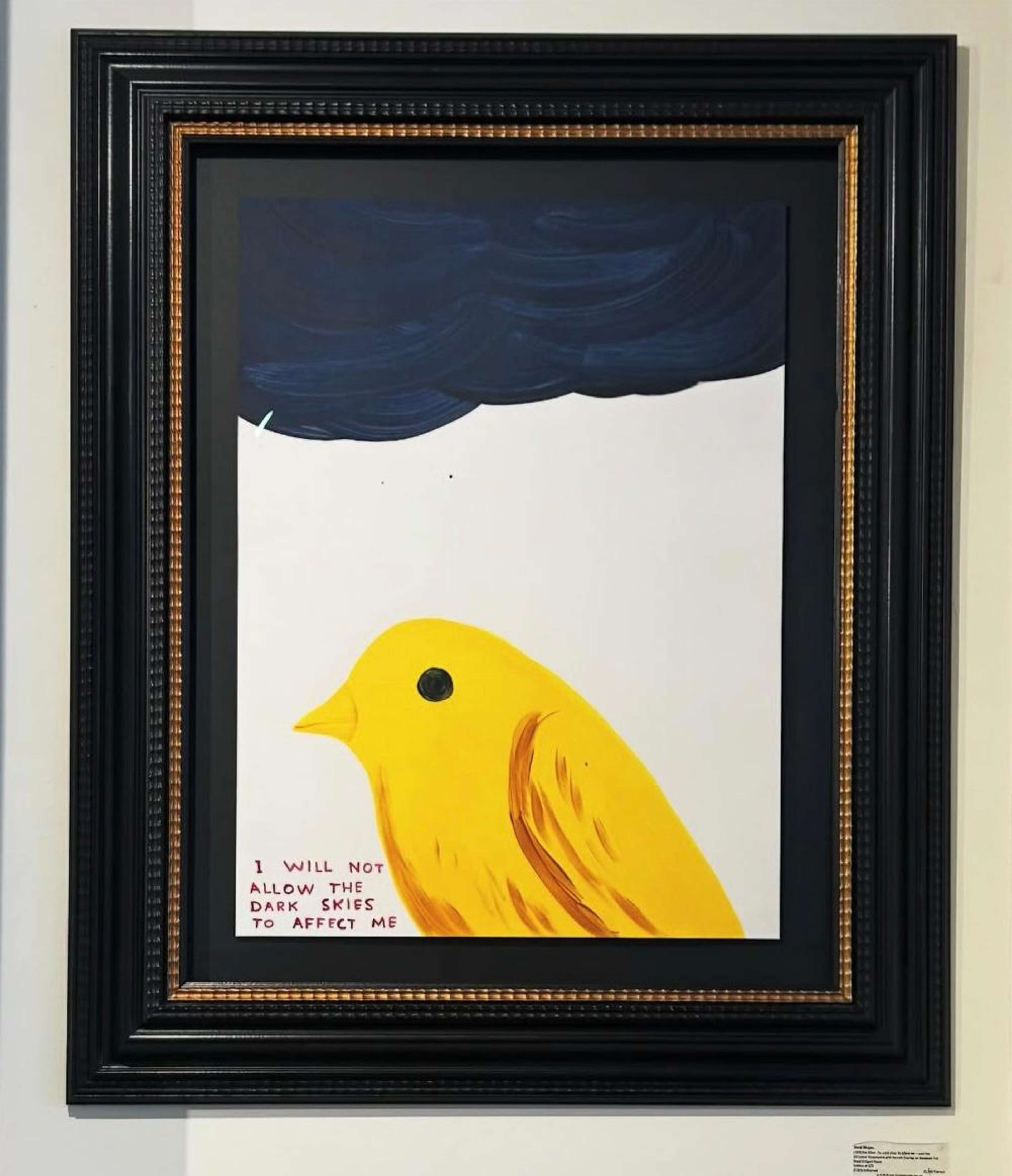 Je ne laisserai pas les ciels sombres m'affecter de David Shrigley