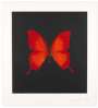 Damien Hirst: The Souls On Jacob’s Ladder 3 - Signed Print