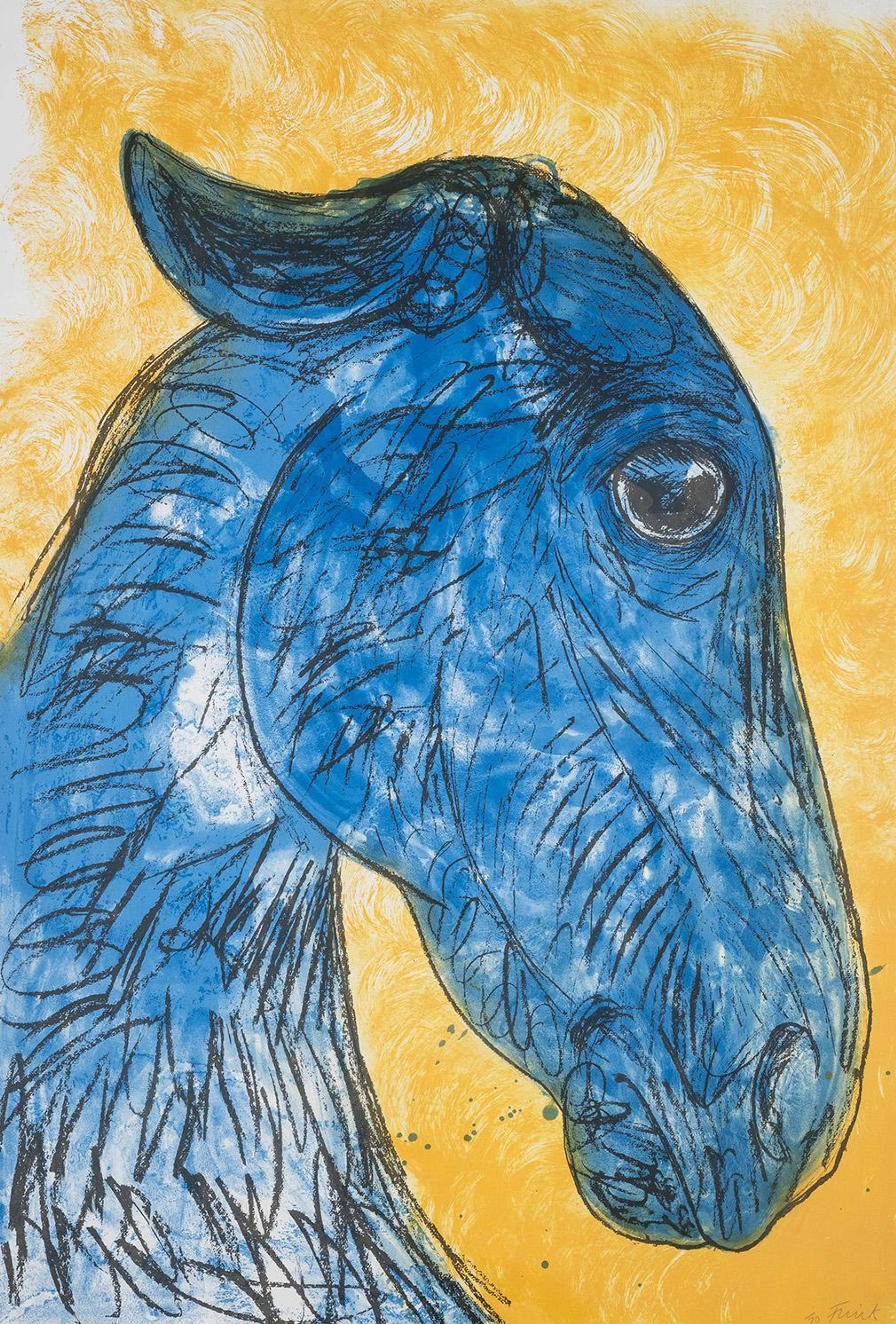 Une image audacieuse bleu et jaune d'un cheval de profil. Le fond est jaune, réalisé avec des coups de pinceau épais. Le cheval lui-même est peint grossièrement en bleu, avec des lignes noires rugueuses ajoutant de la texture et du détail. Quelques éclaboussures de peinture bleue sont visibles sous son museau.