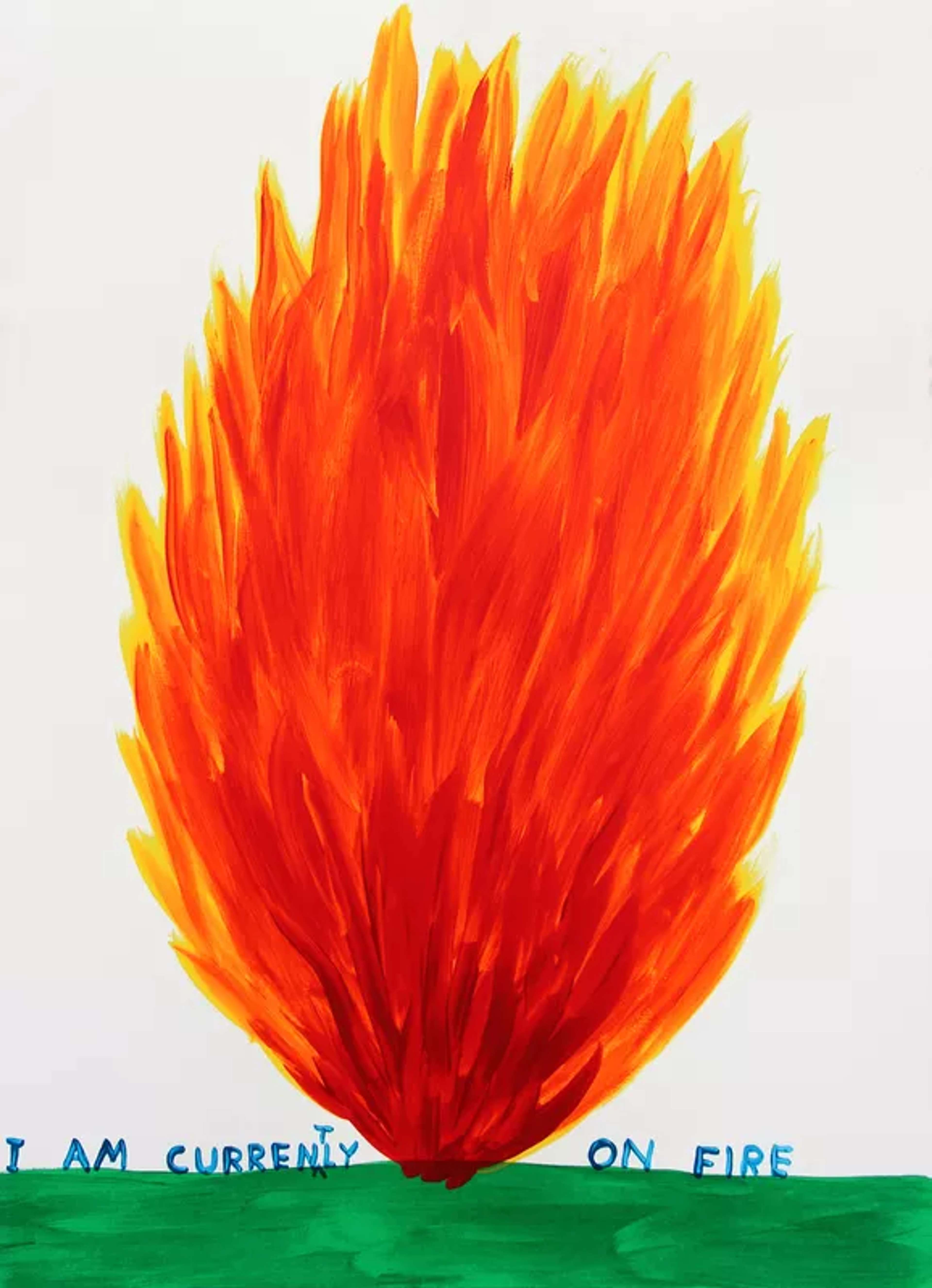 « I Am Currently On Fire » © David Shrigley 2018 - MyArtBroker