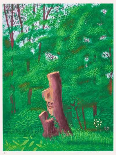The Arrival Of Spring In Woldgate, East Yorkshire In 2011 (twenty eleven) - 22 May - Signed Print by David Hockney 2011 - MyArtBroker