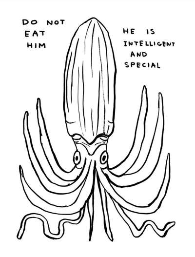 Do Not Eat Him - Unsigned Print by David Shrigley 2022 - MyArtBroker