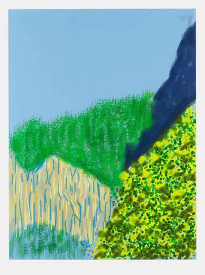 The Yosemite Suite 3 - Signed Print by David Hockney 2010 - MyArtBroker