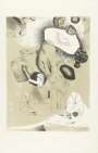 Dorothea Tanning: Third Peril - Signed Print