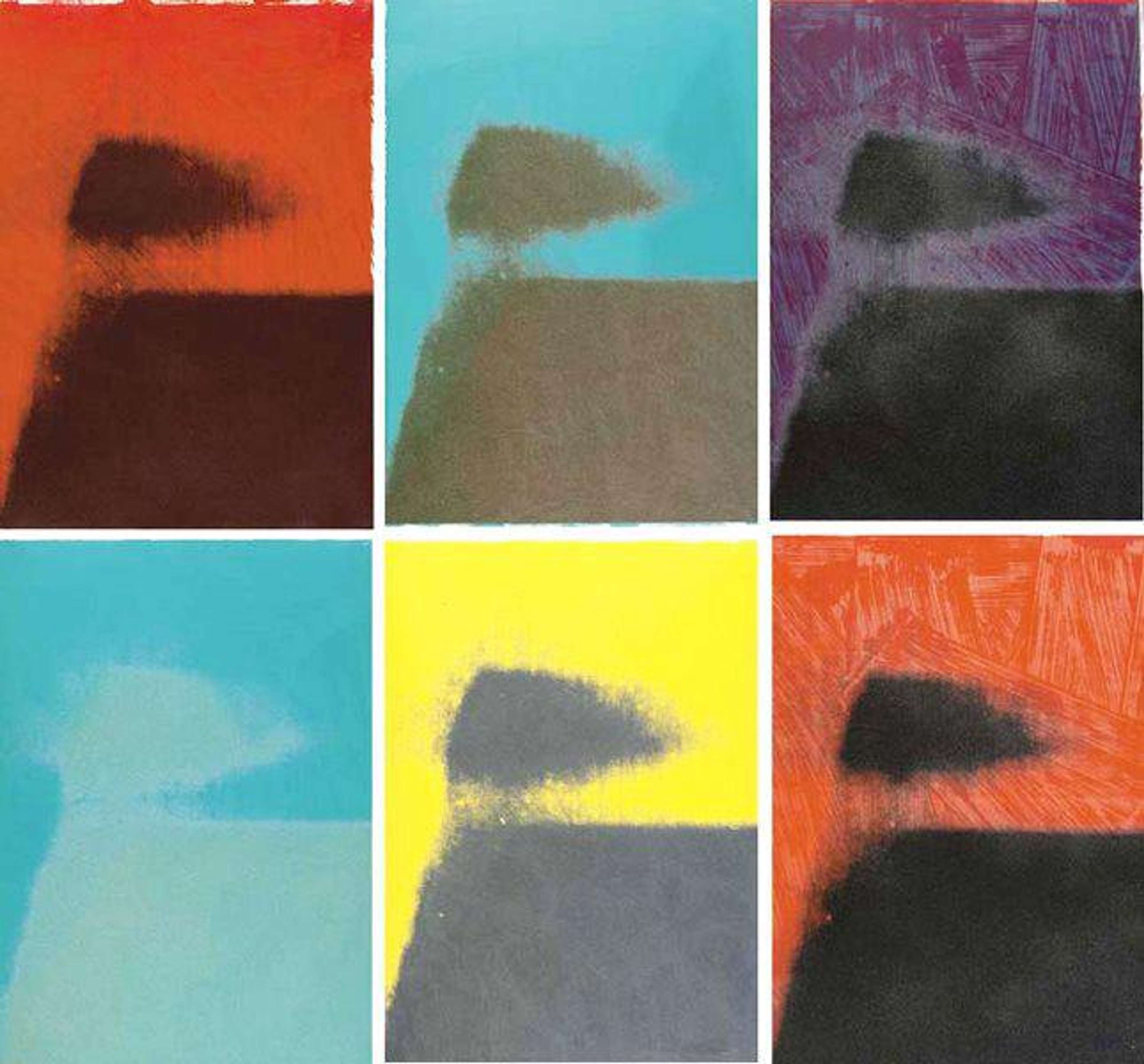 Les estampes de la collection "Shadows" se caractérisent par la répétition. Chaque œuvre est composée de deux blocs de couleur, et il semble n'y avoir aucune règle régissant les motifs que les deux couleurs produisent lorsqu'elles se rencontrent dans la composition.
