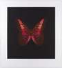 Damien Hirst: Memento 1 - Signed Print