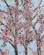 Damien Hirst: H9-8 Control - Signed Print