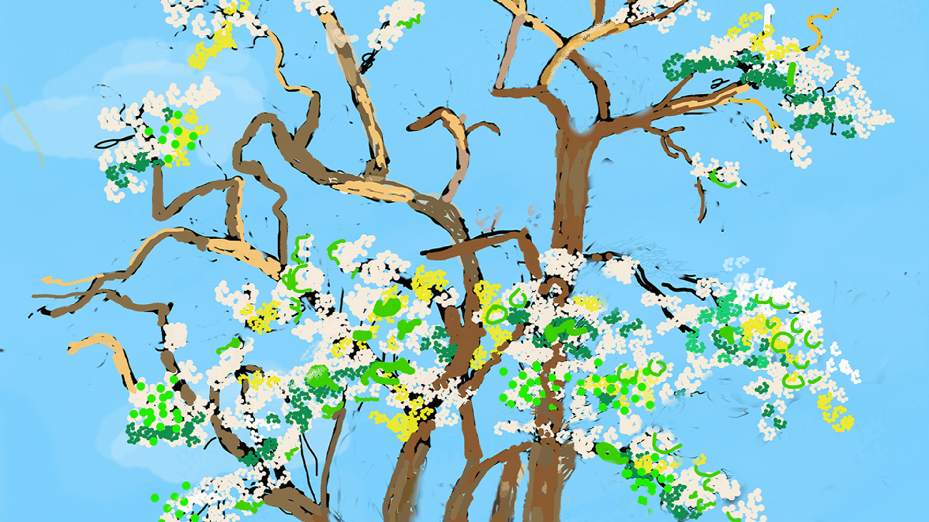 Ce dessin réalisé sur iPad par David Hockney représente un arbre en fleurs dans des tons de blanc et de vert, se détachant sur un ciel bleu éclatant.