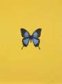 Damien Hirst: It's A Beautiful Day 3 - Signed Print