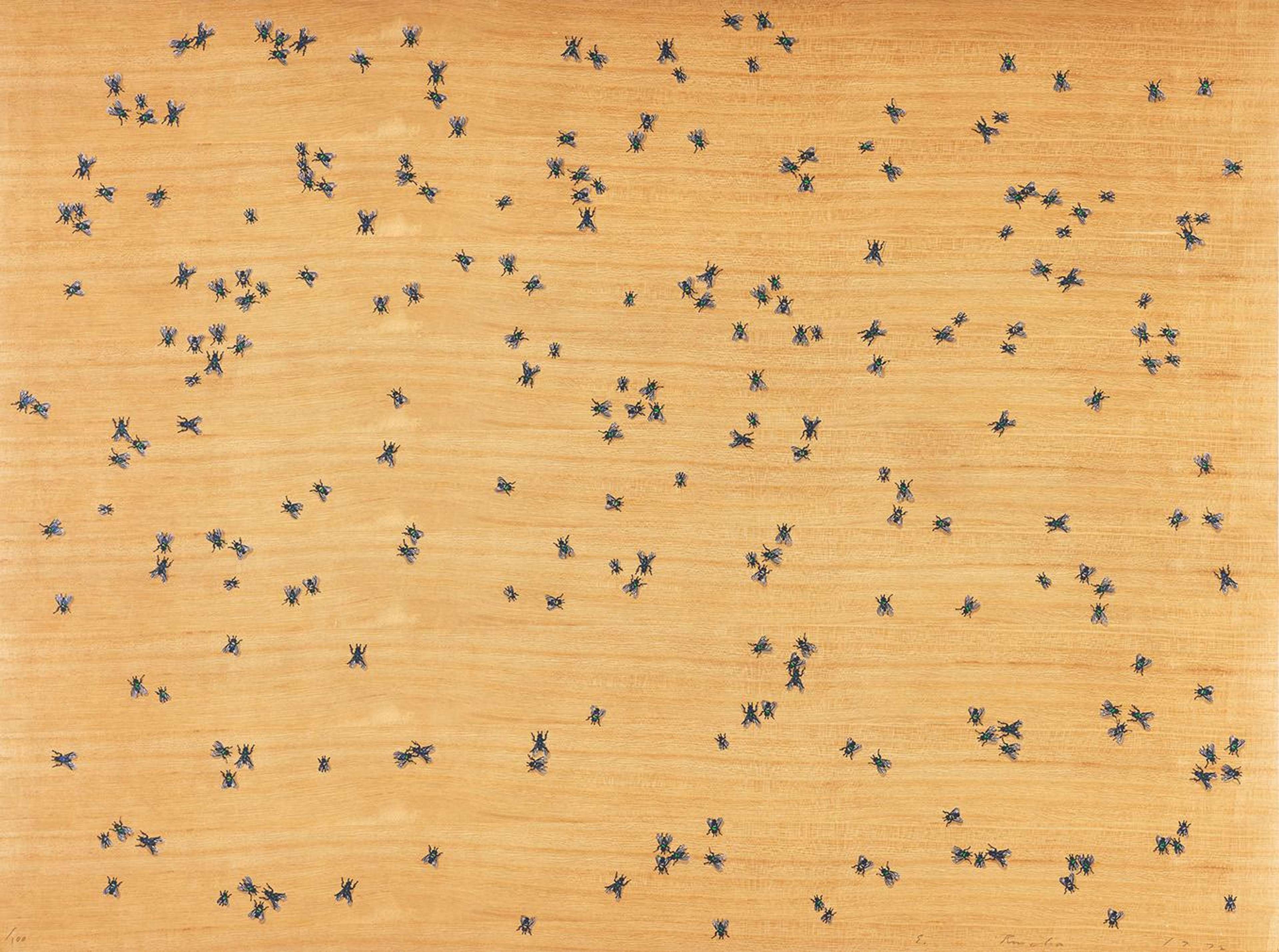 Sérigraphie d'Ed Ruscha représentant un fond en bois aux tons chauds parsemé de mouches noires.