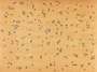 Ed Ruscha: Flies - Signed Print