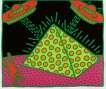 Fertility 2 - Signed Print