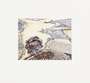 Wayne Thiebaud: River And Farms - Signed Print