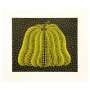 Yayoi Kusama: Pumpkin MY - Signed Print