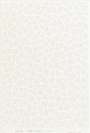 Yayoi Kusama: Infinity Nets (TW) - Signed Print