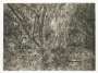 Lucian Freud: The Painter's Garden - Signed Print