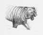 Henry Moore: Tiger - Signed Print