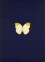 Damien Hirst: New Beginnings 4 - Signed Print