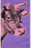 Cow (F. & S. II.12A) - Unsigned Print