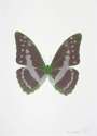 Damien Hirst: The Souls III (gunmetal, silver gloss, leaf green) - Signed Print