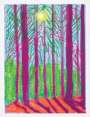 David Hockney: The Yosemite Suite 4 - Signed Print