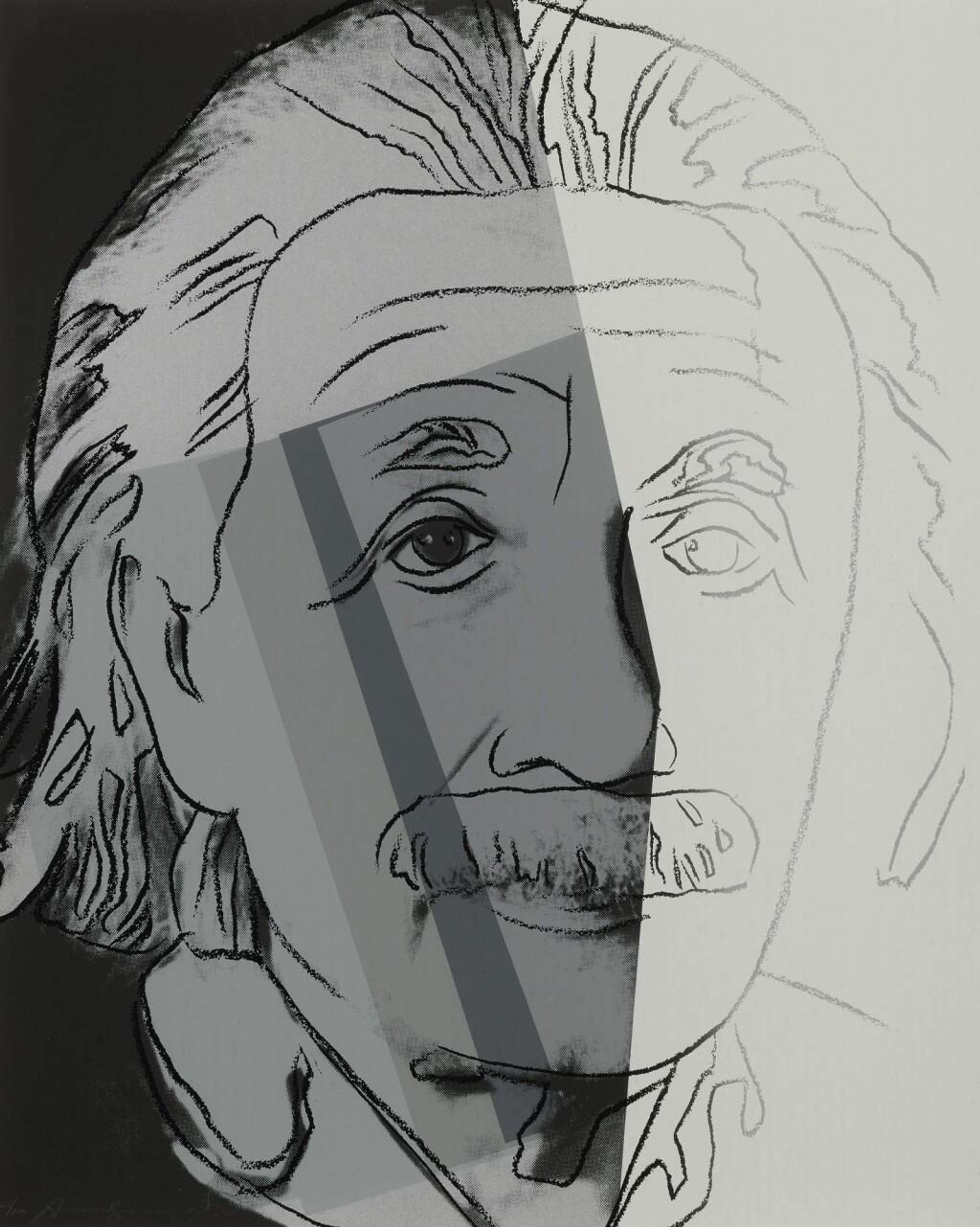 Albert Einstein (F. & S. II.229) par Andy Warhol - MyArtBroker