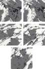 Gerhard Richter: Schweitzer Alpen II - A1 - B3 (complete set) - Signed Print