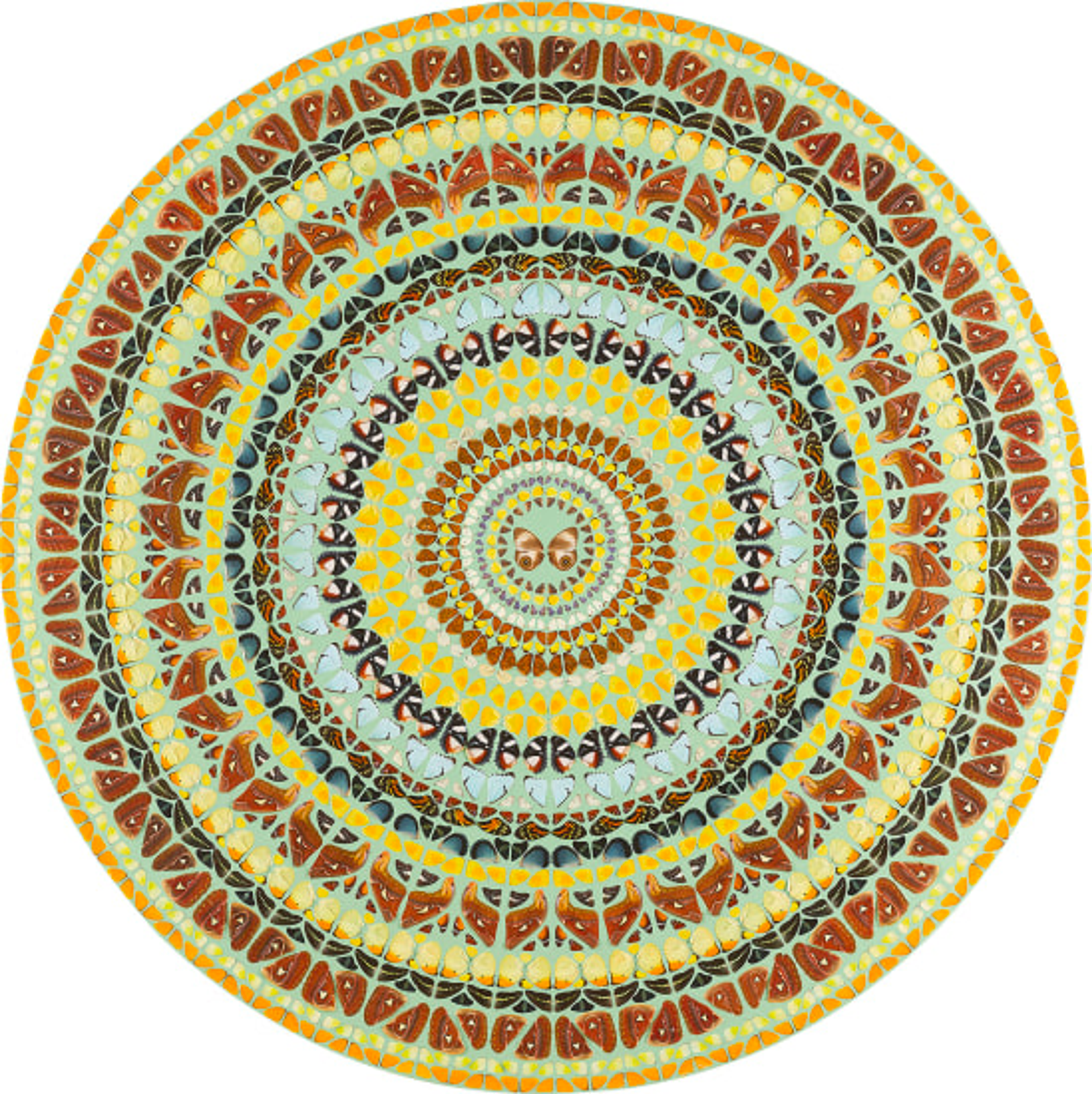 Une œuvre kaléidoscopique de Damien Hirst représentant un motif d'ailes de papillons disposées en cercles concentriques.
