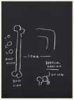 Anatomy, Vertical Median - Signed Print
