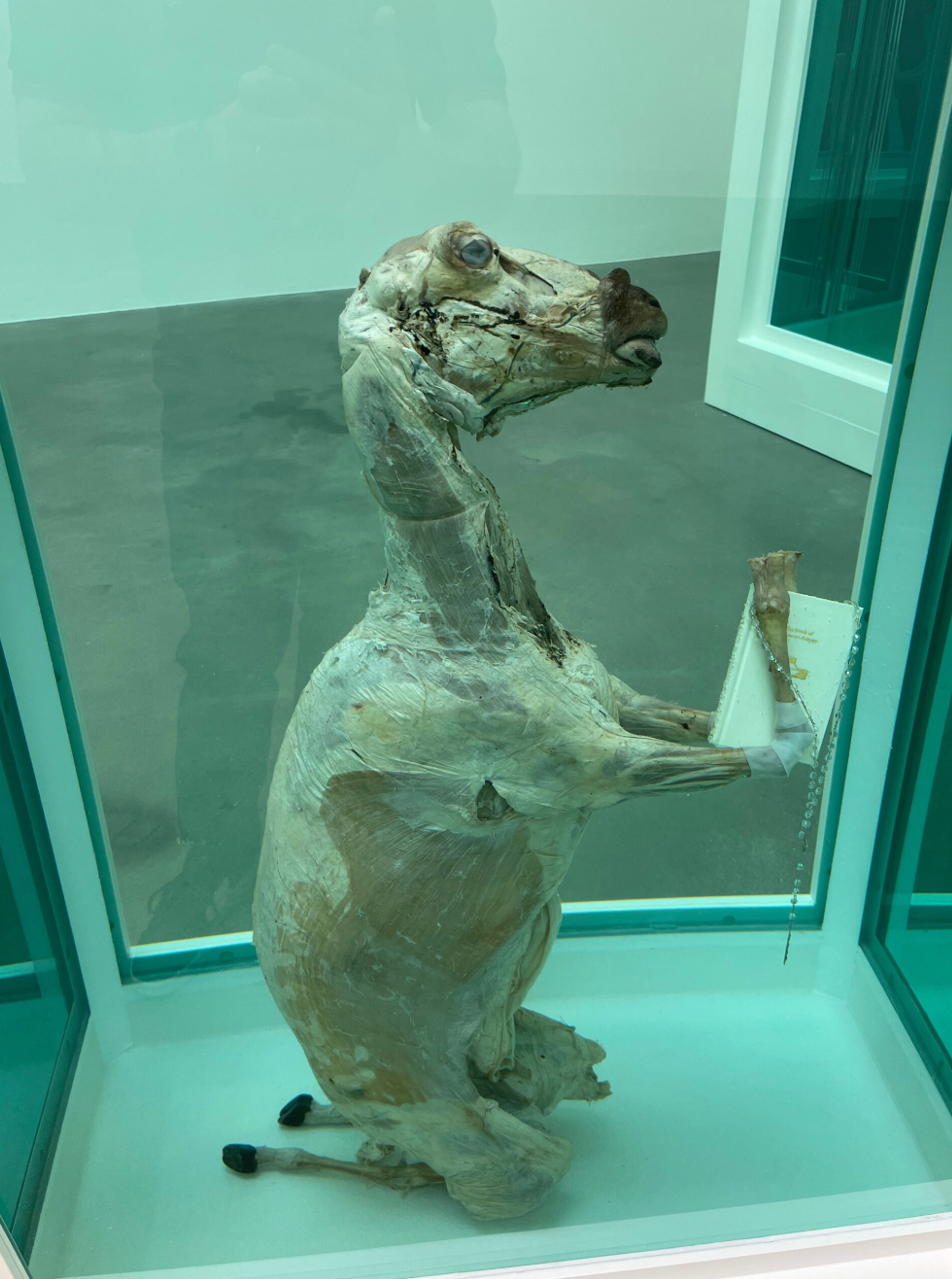 Notre Père qui es aux Cieux par Damien Hirst