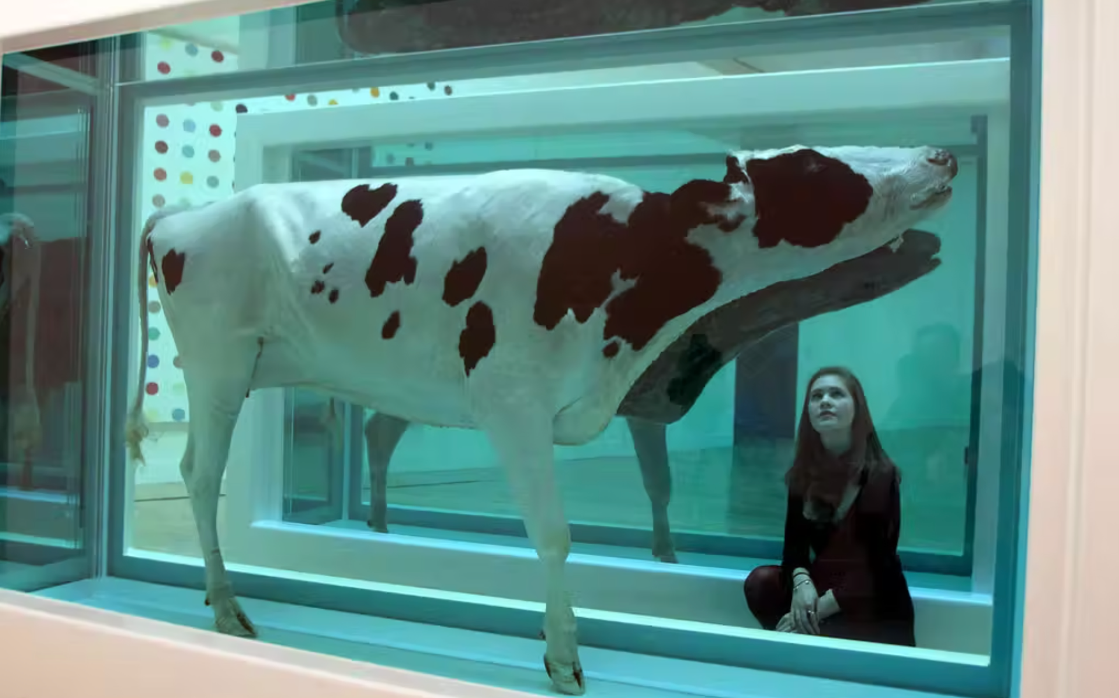 « Mother and Child (divided) » de Damien Hirst