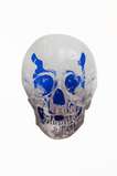 The Dead (silver gloss, Westminster blue) - Signed Print