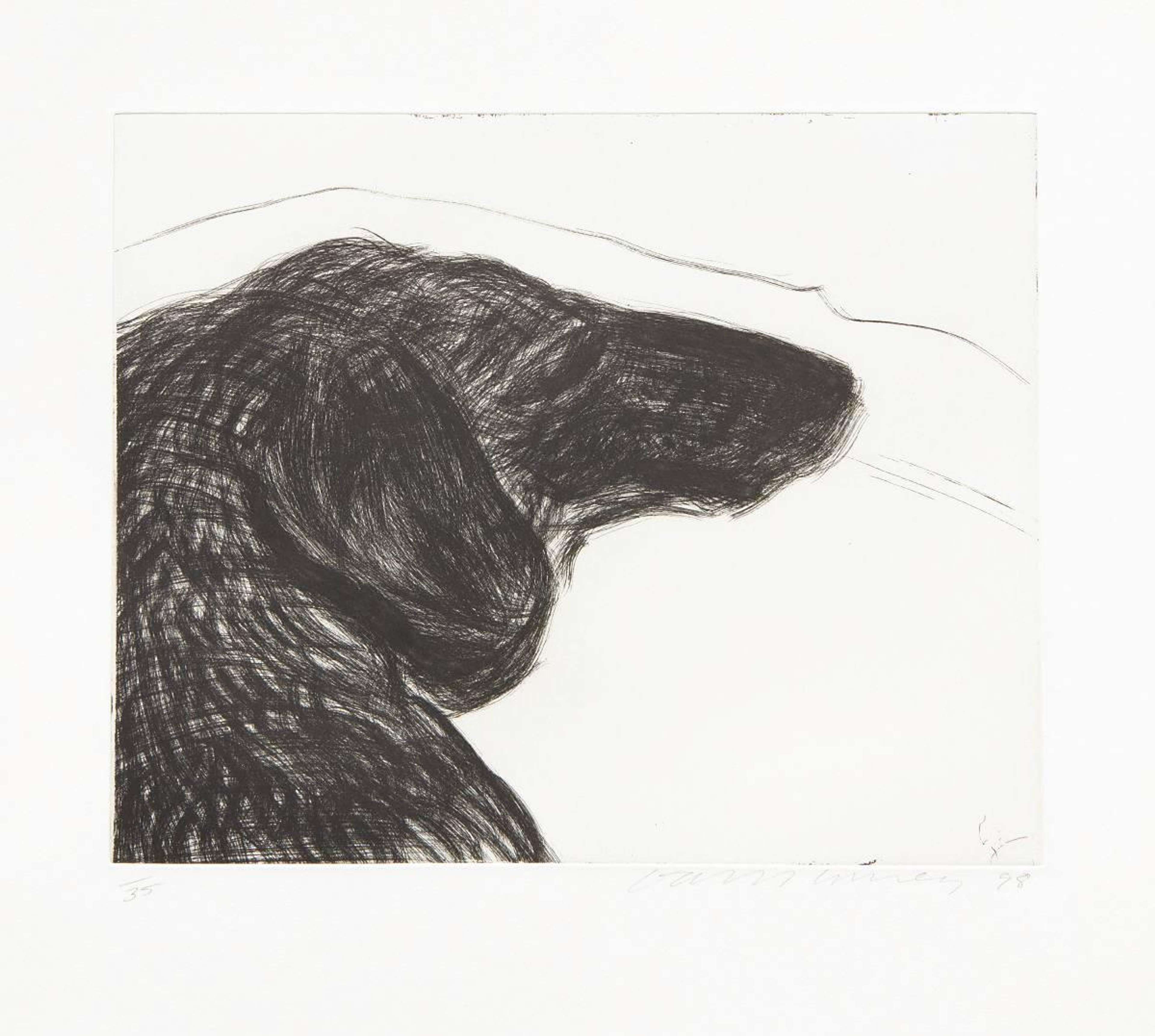 A black-and-white print of a dachshund gazing downward, its body outlined in fine etched lines against a pale ground.
