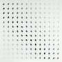 Bridget Riley: Nineteen Greys B - Signed Print