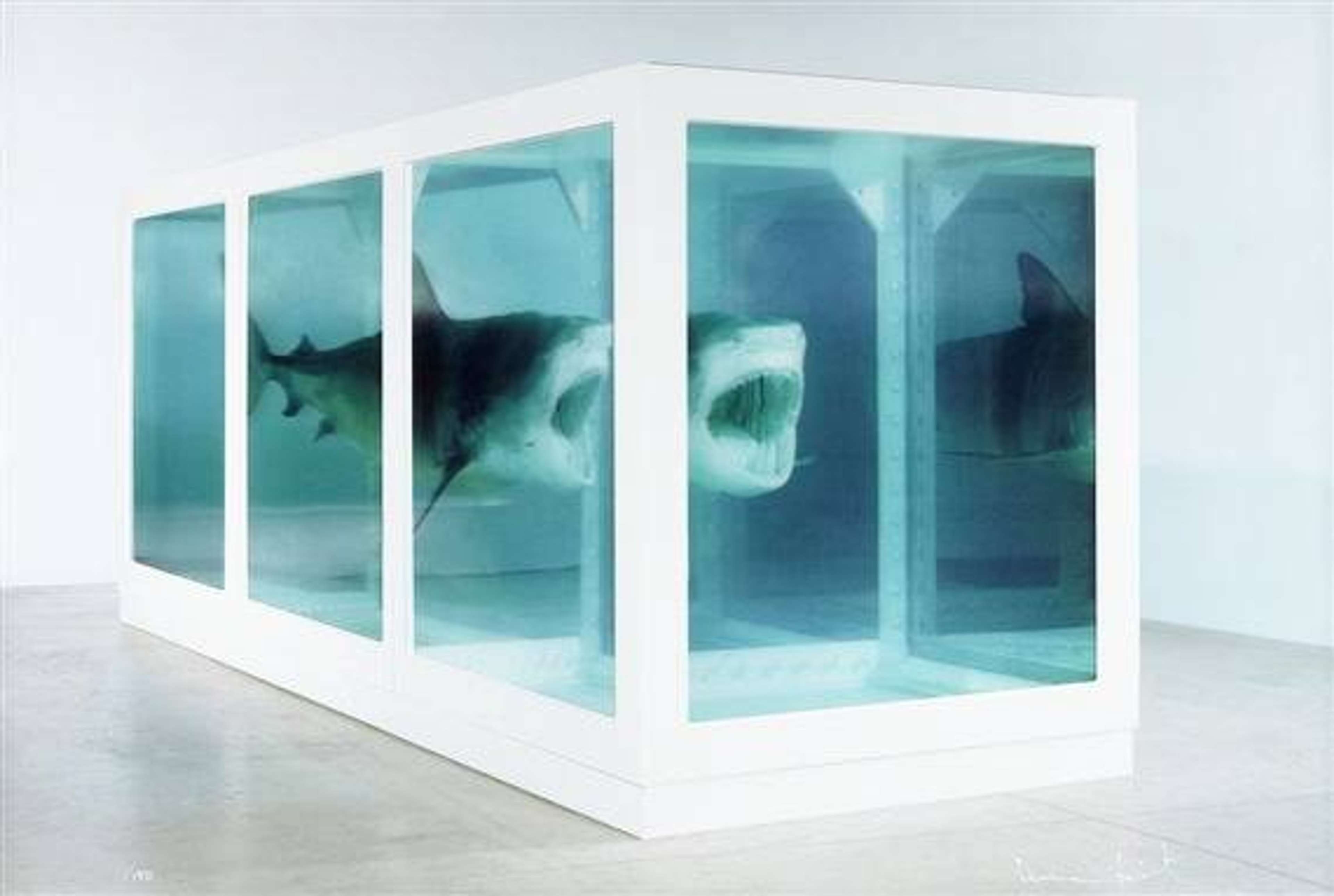 The Physical Impossibility Of Death In The Mind Of Someone Living de Damien Hirst
