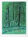 David Hockney: The Yosemite Suite 16 - Signed Print