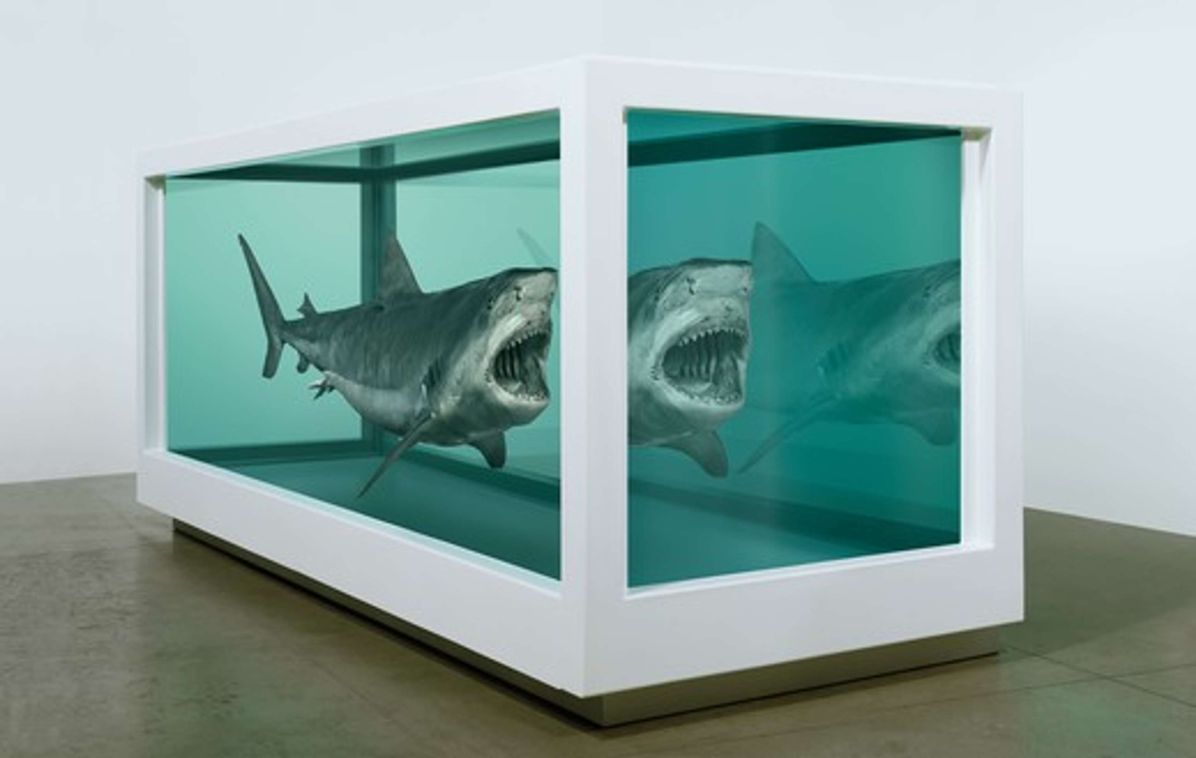 Sculpture d'un requin immergé dans des conservateurs bleus