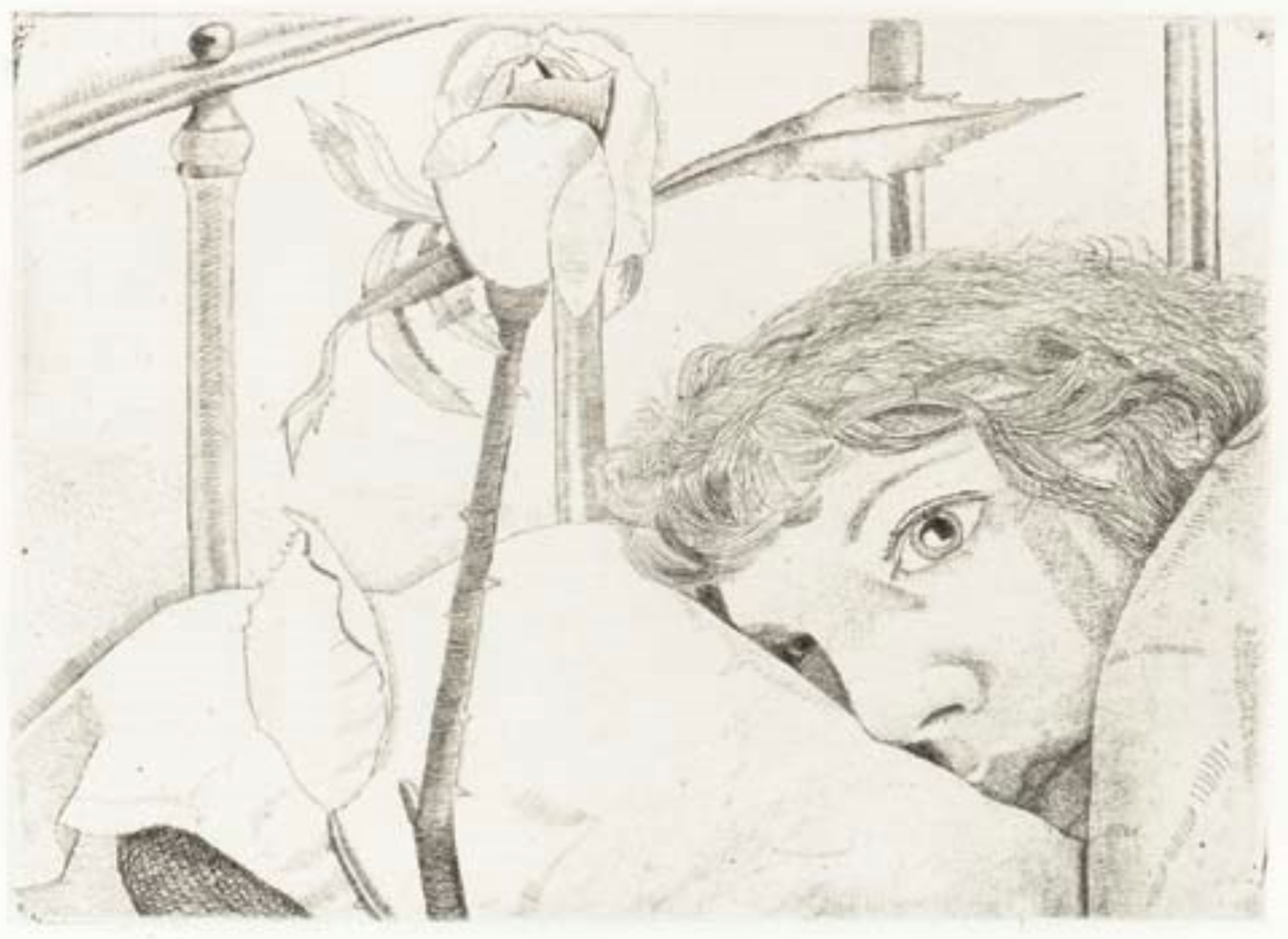 Guide de l'acheteur pour Lucian Freud