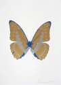 Damien Hirst: The Souls III (hazy gold, silver gloss, frost blue) - Signed Print