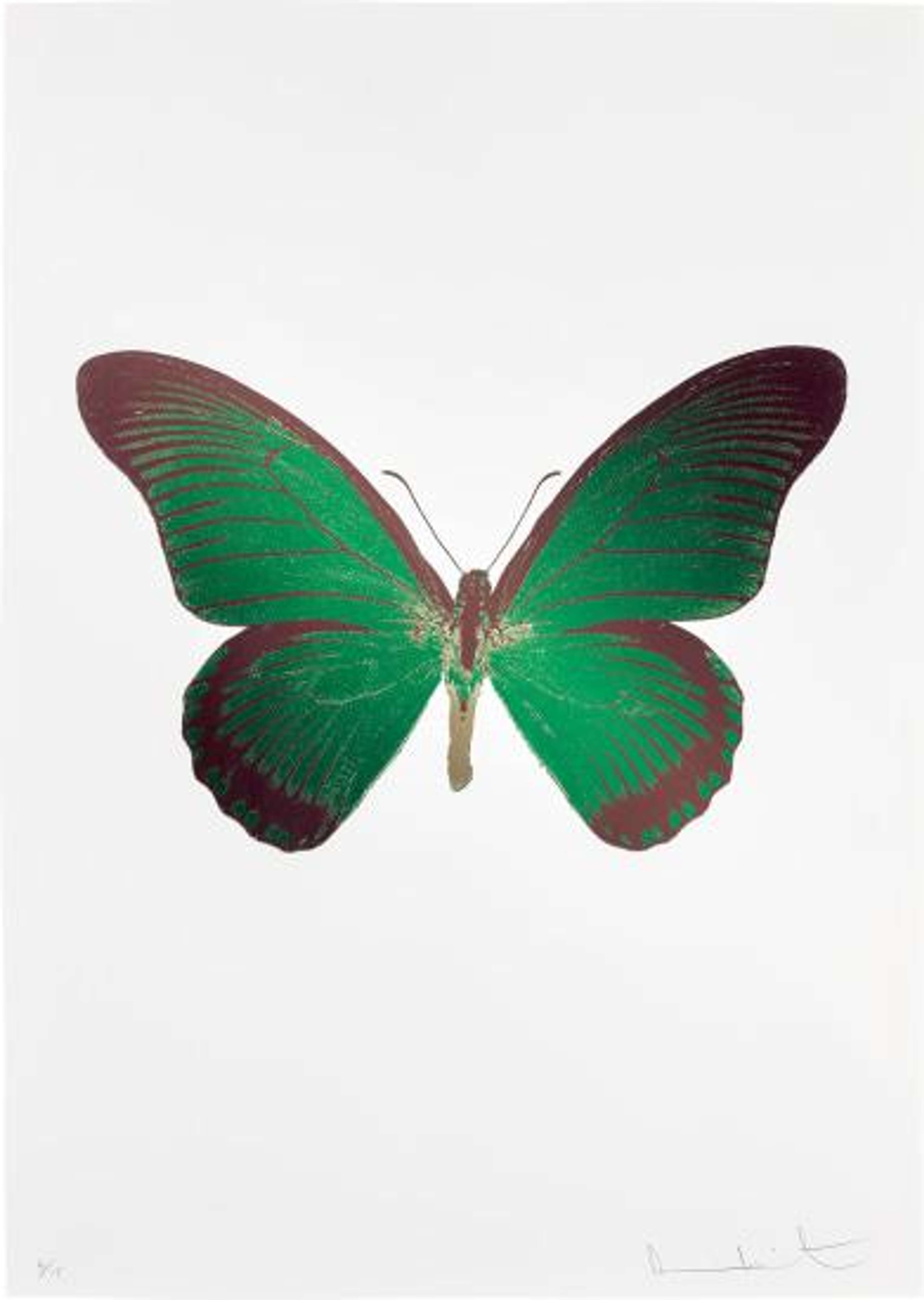 The Souls IV (emerald green, burgundy, cool gold) - Signed Print by Damien Hirst 2010 - MyArtBroker