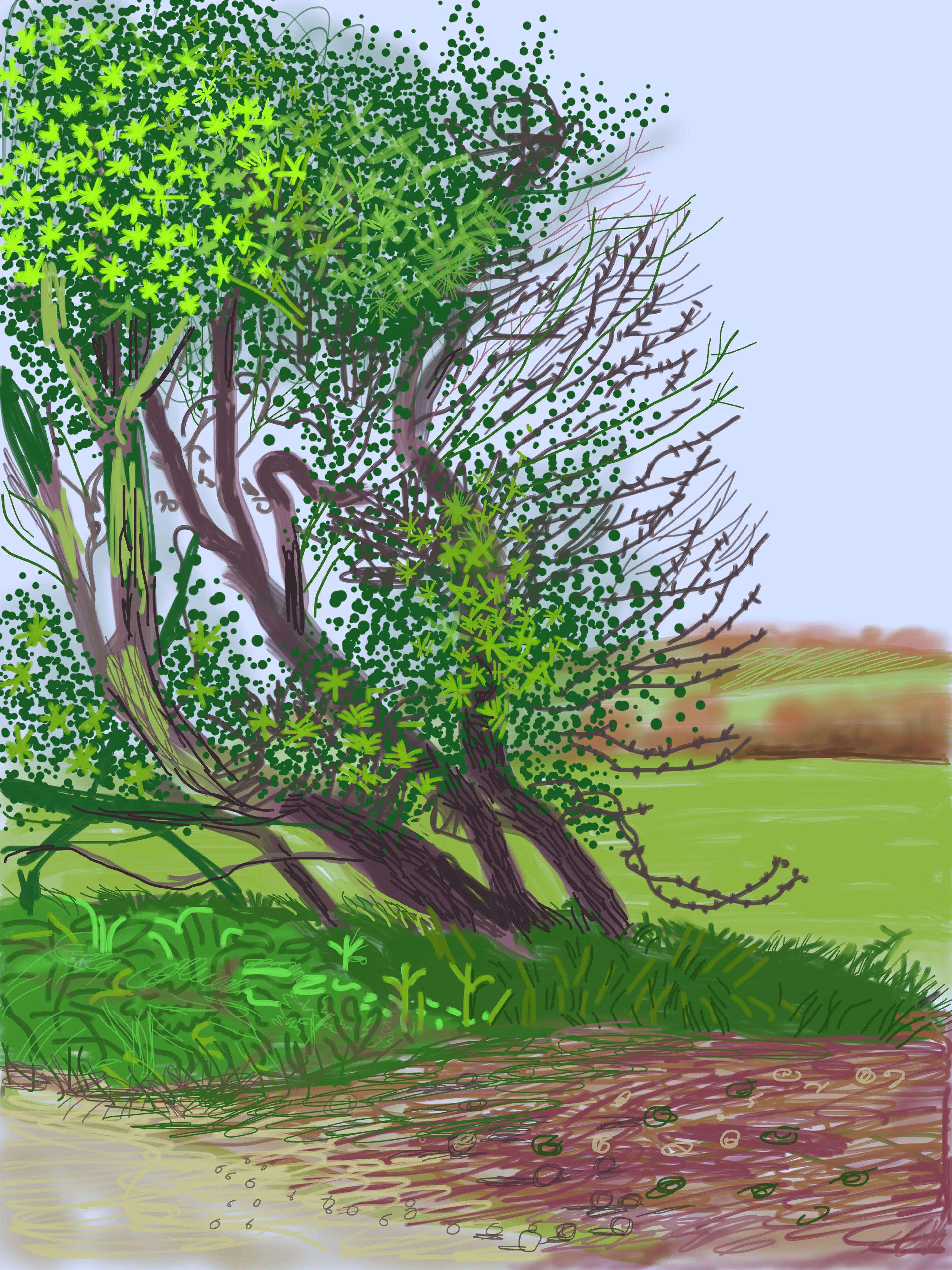The Arrival Of Spring In Woldgate, East Yorkshire In 2011 (twenty eleven) - 12 April, No. 1 - Signed Print by David Hockney 2011 - MyArtBroker