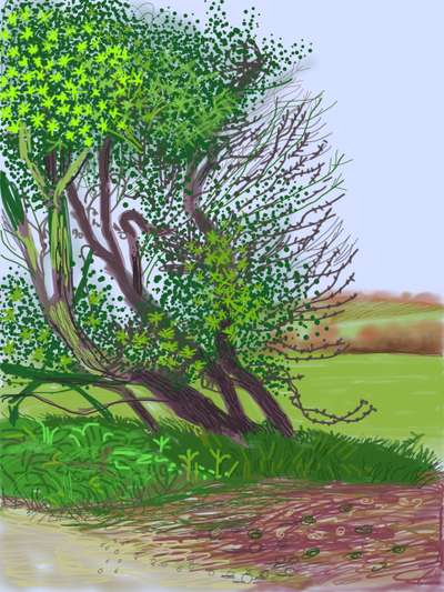 The Arrival Of Spring In Woldgate, East Yorkshire In 2011 (twenty eleven) - 12 April, No. 1 - Signed Print by David Hockney 2011 - MyArtBroker