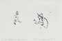 Tracey Emin: Baby Rabbit & Squirrel - Signed Print