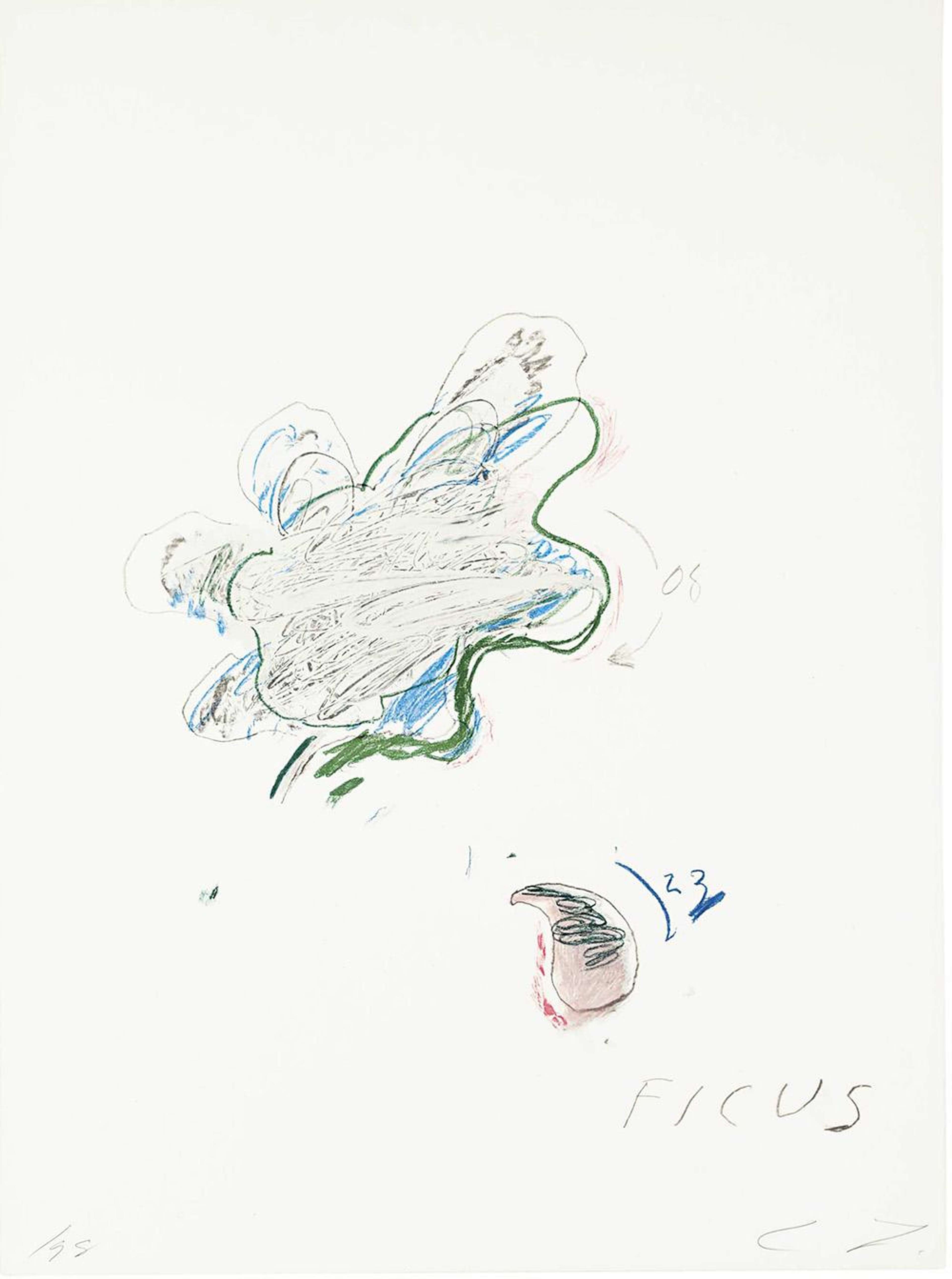Ficus Carica - Signed Print by Cy Twombly 1975 - MyArtBroker