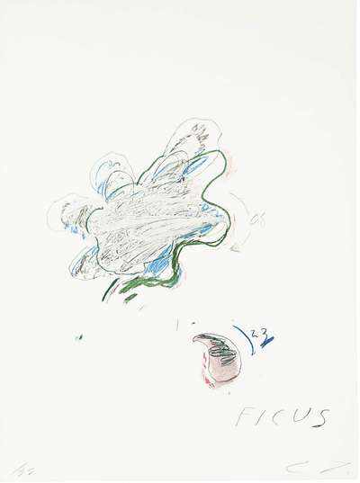Ficus Carica - Signed Print by Cy Twombly 1975 - MyArtBroker