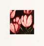 Donald Sultan: Tulips - Signed Print