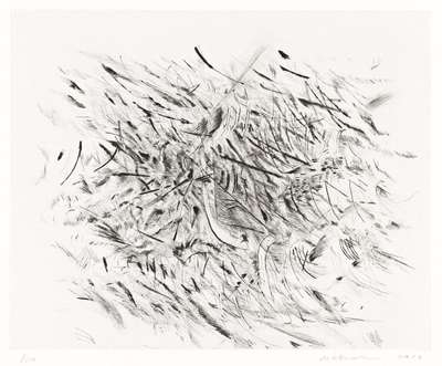 Haka - Signed Print by Julie Mehretu 2012 - MyArtBroker